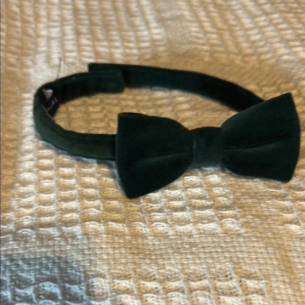 Toddler Velvet Bow Tie Headband in Dark Green